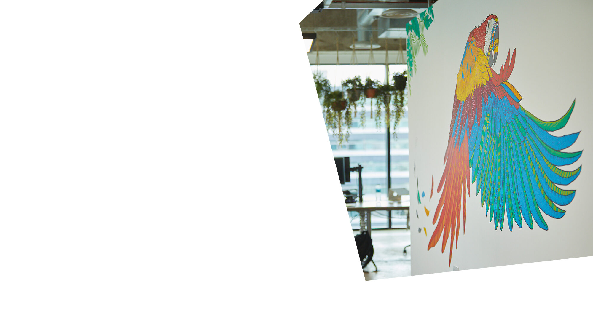 Background Banner Image