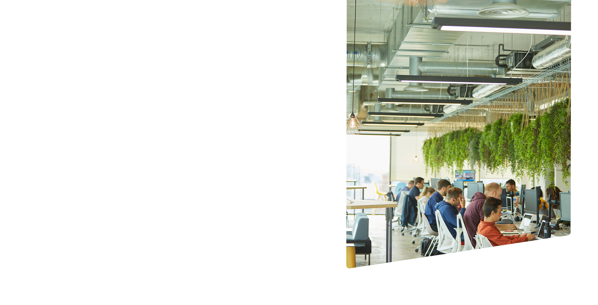 Background Banner Image